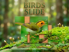 Permainan Birds Slide secara online