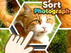 Permainan Sort Photograph secara online
