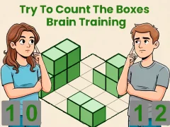 Permainan Try To Count The Boxes Brain Training secara online