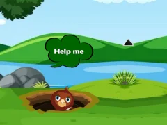 Permainan Help Injured Bird Fallen Down secara online