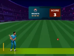 Permainan Cricket Night 2 secara online