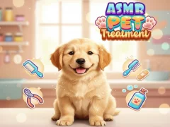Permainan Asmr Pet Treatment secara online
