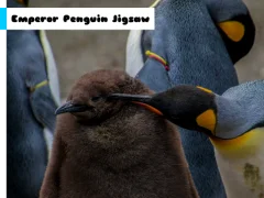 Permainan Emperor Penguin Jigsaw secara online