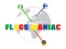 Permainan Flags Maniac secara online