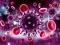 Permainan Coronavirus Puzzle secara online