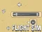 Permainan Flight Sim secara online