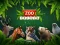 Permainan ZOO Trivia secara online