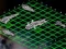 Permainan Intergalactic Battleships secara online