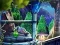 Permainan The Witch of Egrya secara online