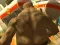 Permainan Monster Simulator secara online