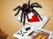 Permainan Jumping Spider secara online