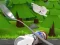 Permainan Monte's Zott: Flight on a spoon secara online