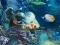 Permainan Sunken Gold secara online