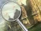 Permainan Forest 5 Differences secara online