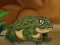 Permainan Frogs Matching secara online