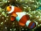 Permainan Underwater Hidden Numbers secara online