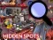 Permainan Hidden Spots In The Room secara online