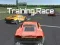 Permainan Training Race secara online
