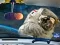 Permainan Space Find The Differences secara online