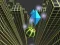 Permainan Marble Rolling Stunt secara online