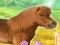 Permainan My Dear Pony secara online
