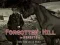 Permainan Forgotten Hill Memento: Run Run little Horse secara online