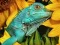 Permainan Ultimate Puzzles Animals 6 secara online