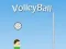 Permainan VolleyBall secara online