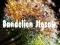 Permainan Dandelion Jigsaw secara online