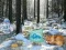 Permainan Winter Wonderland Forest Adventure secara online