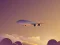 Permainan Vacation Airplanes Jigsaw secara online