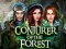 Permainan Conjurer Of The Forest secara online