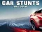 Permainan Car Stunts Sky Tour secara online