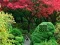 Permainan Maple Leaf Garden Escape secara online