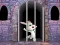 Permainan Victory Rabbit Escape secara online