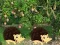 Permainan Escape From Mango Farm secara online