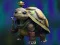 Permainan Isolated Turtle Escape secara online