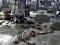 Permainan Friends Rescue From Skeleton secara online