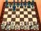 Permainan Chess Master 3D secara online
