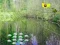Permainan Sunlight Forest Adventure secara online