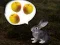 Permainan The Foggy Forest secara online