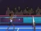 Permainan Badminton Brawl secara online