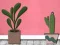 Permainan Find Houseplant secara online