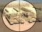 Permainan Camo Sniper secara online
