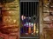Permainan Hidden Cat Escape secara online