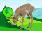 Permainan The Deer Meadow Escape secara online
