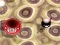 Permainan Bouncing Blob secara online