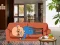 Permainan Wakeup The Grandpa secara online