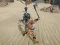Permainan The Scythian Warrior secara online