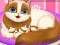 Permainan Cute Kitty Pregnant secara online